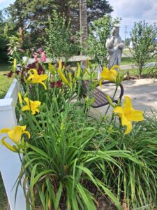 Memorial Garden Flowers